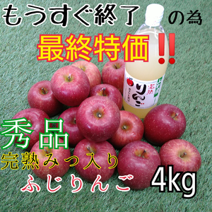 秀品★完熟ふじりんご約4kg＆ふじりんごジュース1本セット