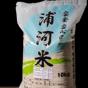 北海道産 特別栽培米(令和5年産)きたくりん 玄米