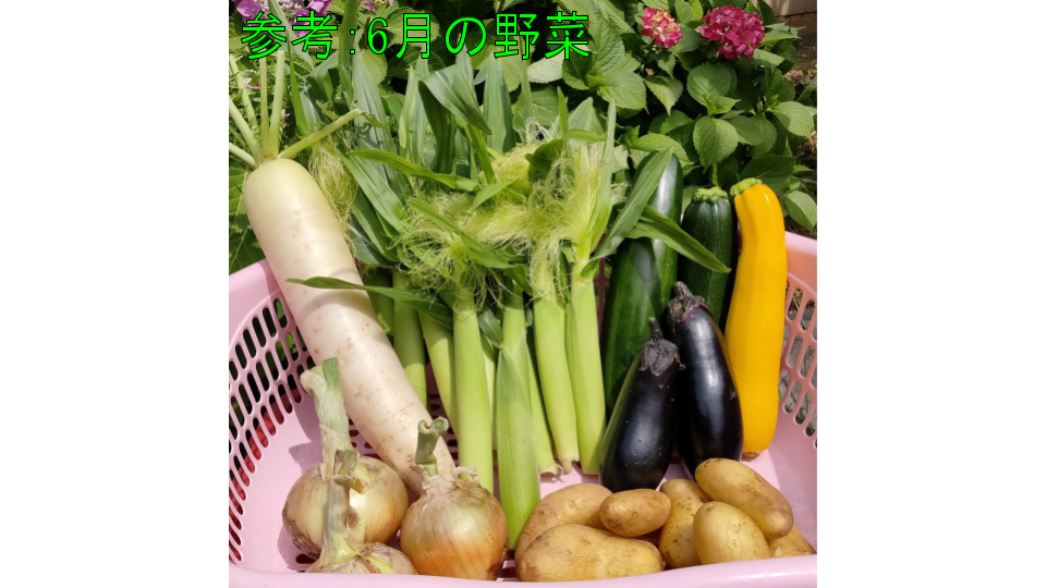 月1回 定期便 旬の新鮮野菜 笑顔あふれる野菜box 7種類以上ボリュームセット 農家漁師から産地直送の通販 ポケットマルシェ