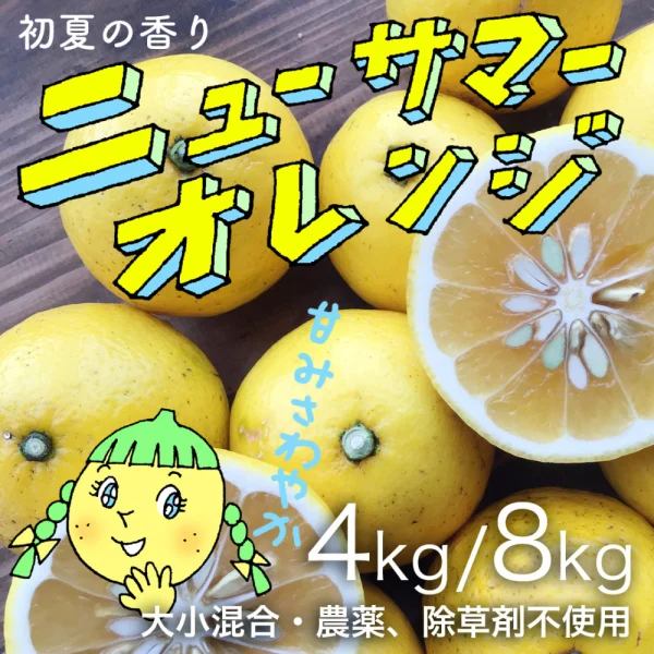 初夏の香り、ニューサマーオレンジ【農薬不使用】
