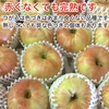 8月発送 りんご 家庭用 サンつがる 約3キロ 7-12玉 復興支援 