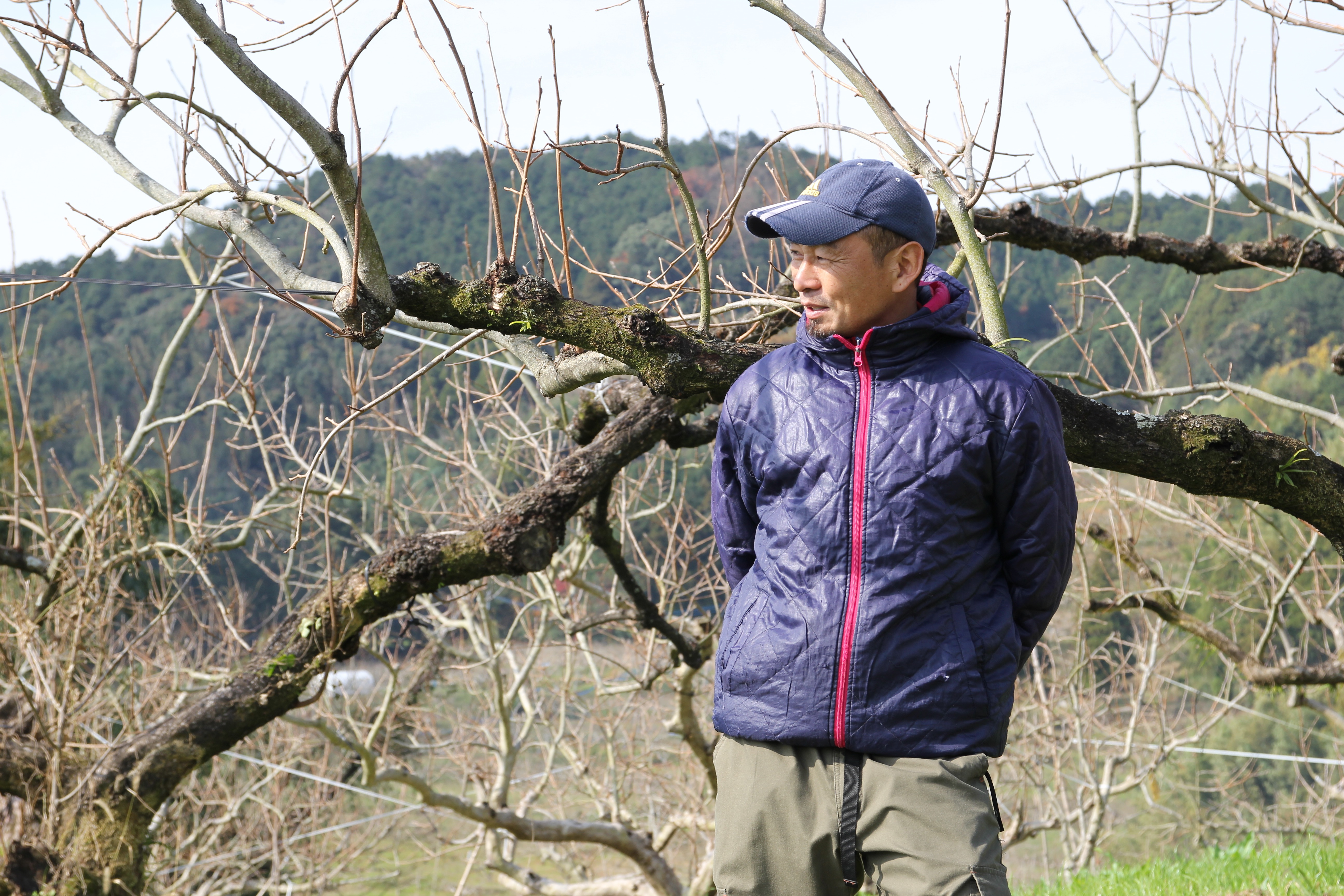 果樹農家さんって 果物が木にならないオフシーズン 何しているの 柿 ぶどうの農家さんに聞いてみました