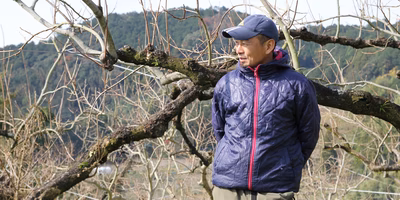 果樹農家さんって、果物が木にならないオフシーズン、何しているの？柿&ぶどうの農家さんに聞いてみました