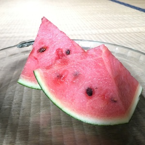 【訳あり】夏の香『小玉西瓜』(農薬-化学肥料不使用)
