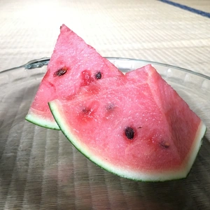 ☆果菜様専用☆ | www.plustecnologiaegestao.com.br