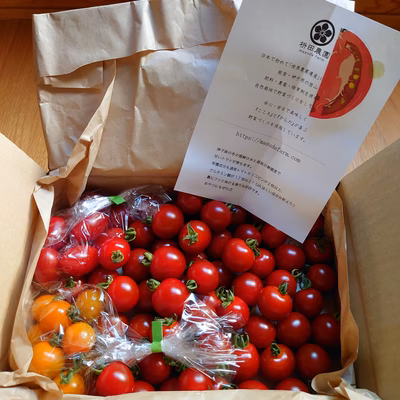 みんなの投稿の画像