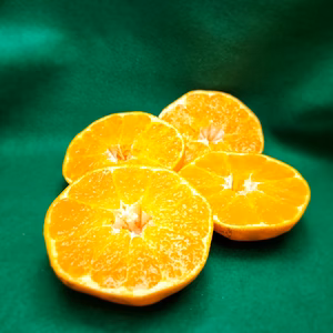 家庭用甘平　説明よく読んで！！　