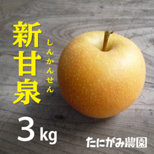 産地限定品種[新甘泉(しんかんせん)]3kg箱(6-9玉)