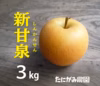 産地限定品種[新甘泉(しんかんせん)]3kg箱(6-9玉)