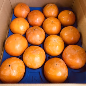 農家直送⭐️ 岐阜県富有柿‼️ 家庭用14個入り