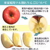 大人気！【訳あり】サンふじ 約10kg 24-50玉 葉とらず#NAF0B100