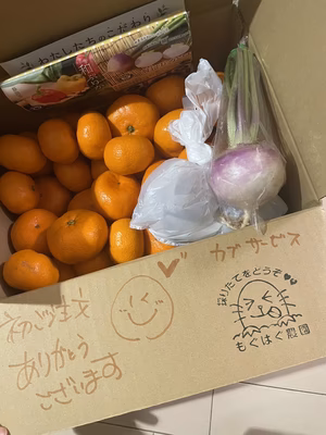 みんなの投稿の画像