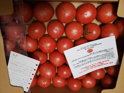 みんなの投稿の画像