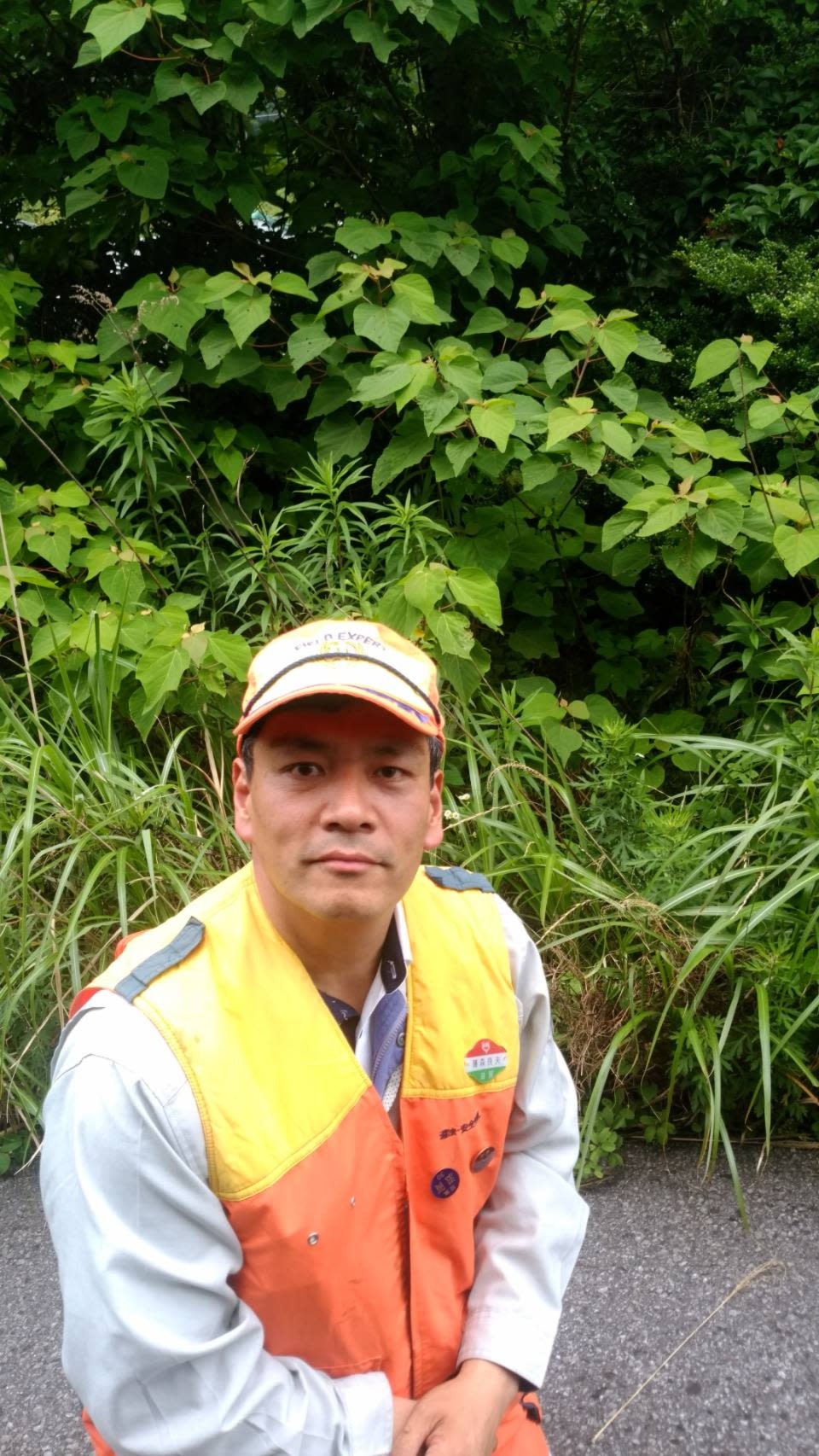 ナチュラル フォレスト 藤森良夫さんへのみんなの投稿 農家漁師から産地直送の通販 ポケットマルシェ