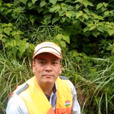 藤森良夫 | ナチュラル フォレスト