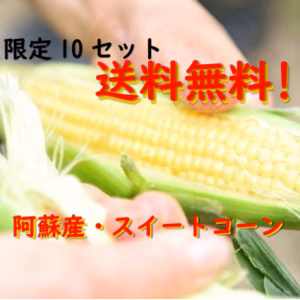 ★送料無料★限定販売！ 阿蘇産スイートコーン