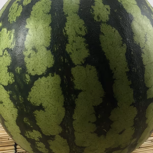大人気の完熟すいか❗️『尾花沢すいか』‼️6Ｌ玉