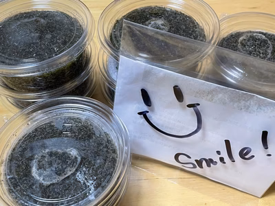 みんなの投稿の画像