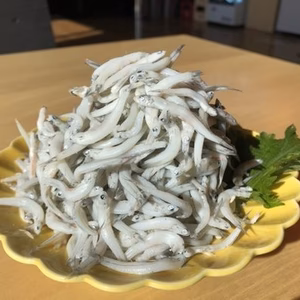 【愛媛県産】網元の隠し玉！訳あり太筋釜揚げしらす1kg