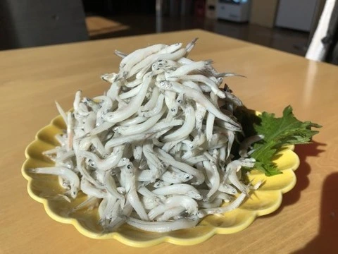【愛媛県産】網元の隠し玉！訳あり太筋釜揚げしらす1kg