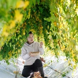 阿部恵理子