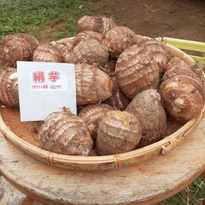 野菜の神奈川県の商品一覧(50ページ目)｜ポケットマルシェ｜産直