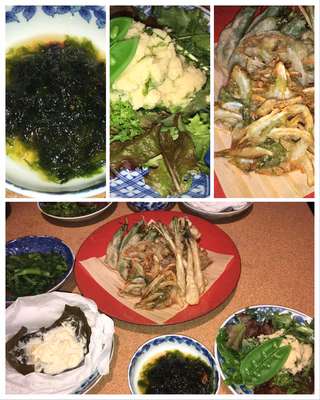 みんなの投稿の画像