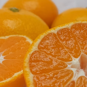 完熟極早生みかん　　20日以降発送