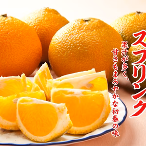 スィースプリング9ｋｇ（おだ農園）