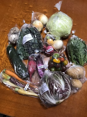 みんなの投稿の画像