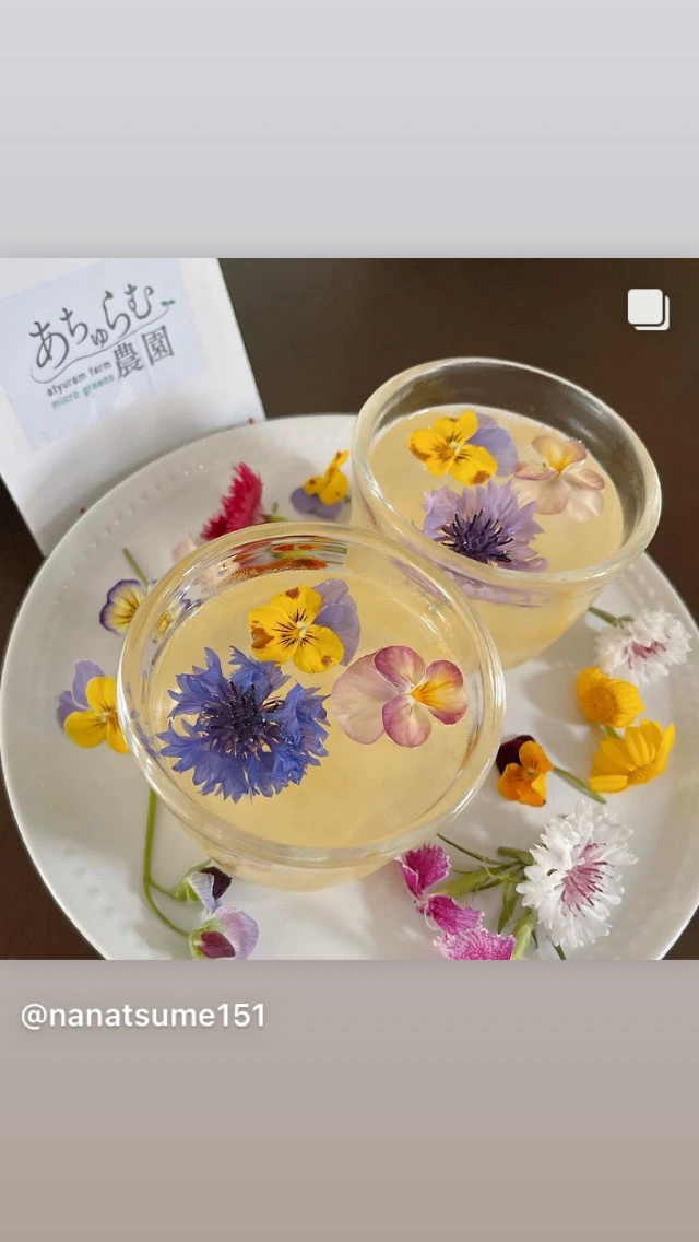 お得なセット！！ 食べれるお花！【エディブルフラワーmix】　3パックセット
