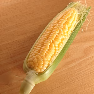 高糖度とうもろこし・ピクニックコーン 1本