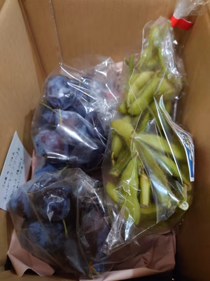 みんなの投稿の画像