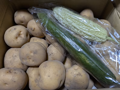 みんなの投稿の画像