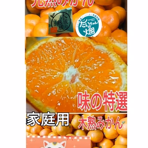 復活‼️2023】ビッグセール❢【味特選】家庭用)本場有田のたっぷりミックスッ