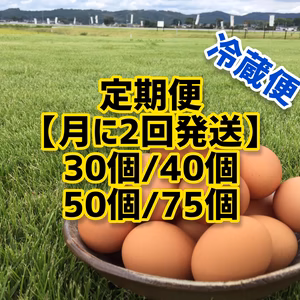 月2回_定期便/クール便：『黒麹』で育てた鶏のたまご