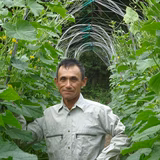 八尋幸隆 | むすび庵