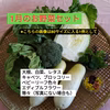 1月のお野菜セット　淡路島よりAwajicHorrorGarden