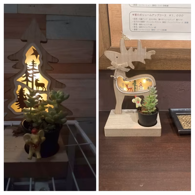 みんなの投稿の画像