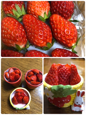 みんなの投稿の画像