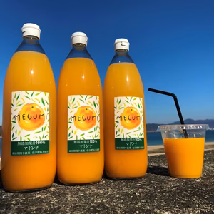 【農薬不使用】マドンナジュース　1000ml　