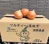 淡路島産ソルティ玉ねぎ5キロ