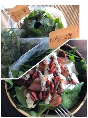 みんなの投稿の画像