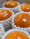 富有柿【送料無料】匠果樹園（秀品／2L~4Lサイズ／6~4玉）