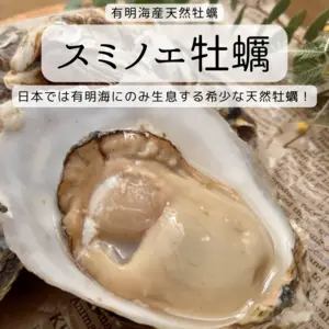 【超希少】【有明海産・天然】スミノエ牡蠣　スミ☆スター