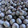 北海道産冷凍ブルーベリー