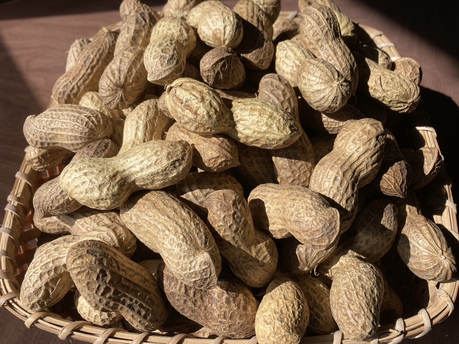 専用　おおまさり10キロ yuki-omasari-1p.jpg