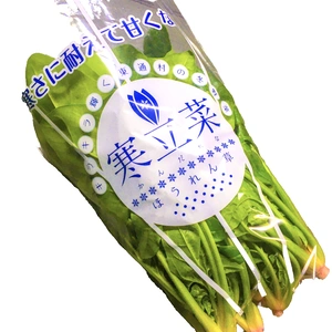 青森県で寒締栽培した　甘味&肉厚ほうれん草『寒立菜（かんだちな）』約1kg