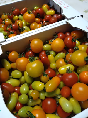 みんなの投稿の画像