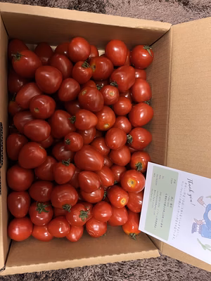 みんなの投稿の画像